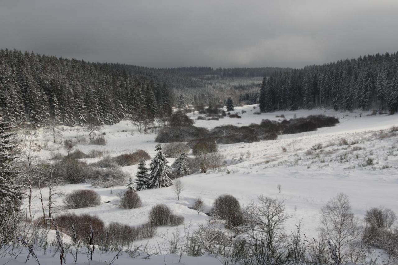 Villa le nid des Mésanges Büllingen Exterior foto