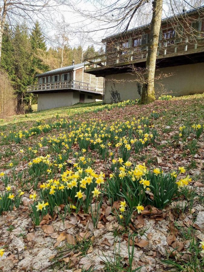 Villa le nid des Mésanges Büllingen Exterior foto